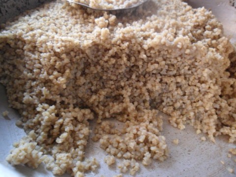 Kodo millet rice, cooked using a pressure cooker.
